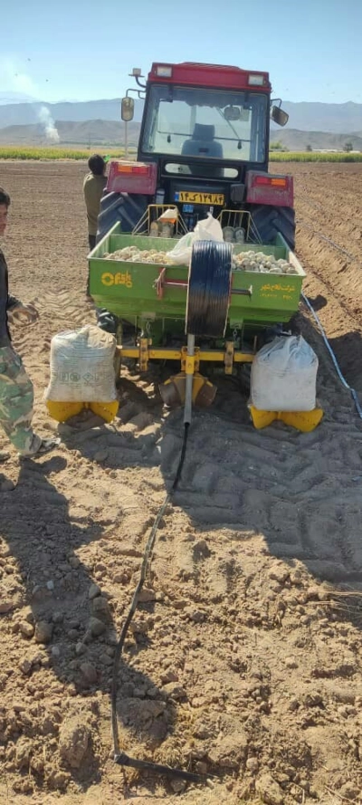 آغاز کشت سیب‌زمینی در اراضی شهرستان حاجی‌آباد