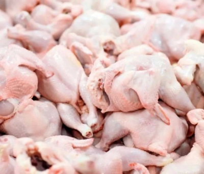 طی چهارماه نخست سال جاری؛بیش از ۱۲ هزار تن گوشت سفید در واحدهای پرورش طیور استان هرمزگان تولید شد